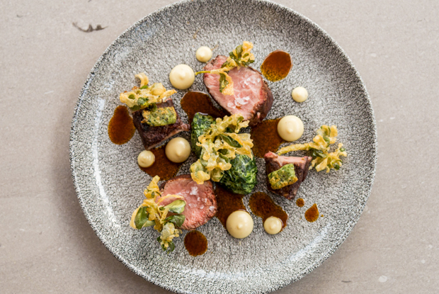 Pangea-LATAM-2018-DISH1